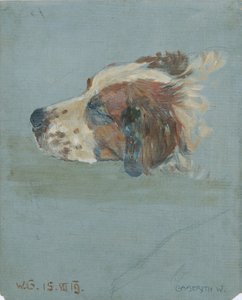 Hundekopf von Walther Gamerith