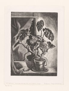 Philodendron im Fensterrahmen von Wanda Gág