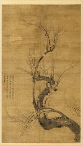 Ein Prunus im Mondlicht