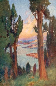 Konstantinopel und Goldenes Horn vom Friedhof in Eyoub von Warwick (after) Goble