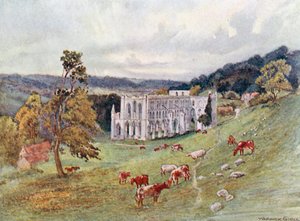Rievaulx Abbey von Südosten