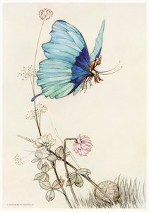 Der Schmetterling erhob sich und flog in die Luft mit dem kleinen Tom auf seinem Rücken, aus dem Märchenbuch von Warwick Goble