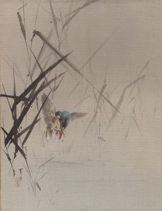 Vogel fängt Fisch unter Schilf, ca. 1887