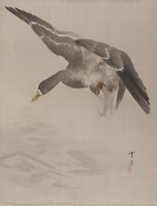 Ente, ca. 1887