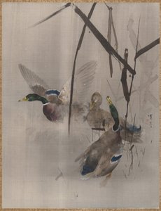 Enten im Schilf (ca. 1887)