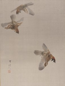 Spatzen im Flug, ca. 1887