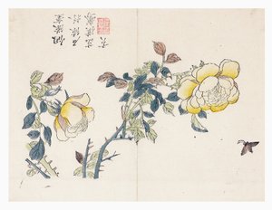 Senfkorngarten von Wen shu Chao