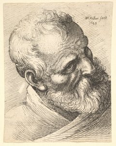 Bärtiger alter Mann mit geneigtem Kopf von Wenceslaus Hollar