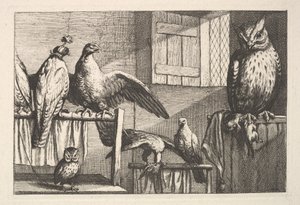 Falken und Eulen von Wenceslaus Hollar