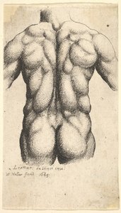 Nackter männlicher Torso von hinten gesehen, 1645