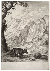 Der Fuchs und das Stachelschwein (Zustand 2)