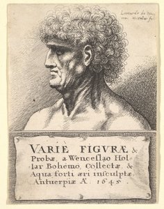 Titelseite zu Varie Figuræ & Probæ, 1645 von Wenceslaus Hollar