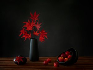 Roter Ahorn Stillleben