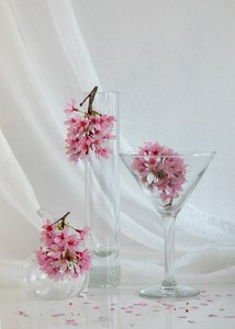 Frühlingsblüten-Stillleben von Wendy Xu