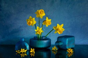 Gelbe Narzissen Blaue Vasen von Wendy Xu