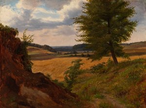 Baum in einer Feldlandschaft, Studie von Werner Holmberg