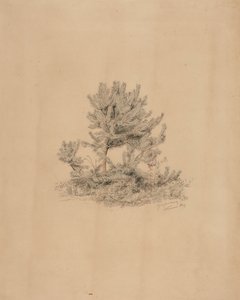 Ohne Titel von Werner Holmberg