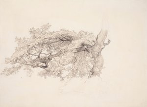 Ohne Titel von Werner Holmberg