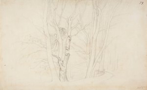 Ohne Titel von Werner Holmberg