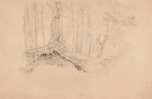 Ohne Titel von Werner Holmberg