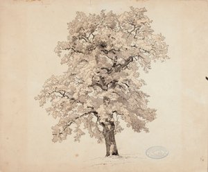 Ohne Titel von Werner Holmberg
