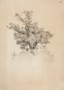 Ohne Titel von Werner Holmberg