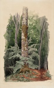 Ohne Titel von Werner Holmberg