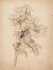 Ohne Titel von Werner Holmberg