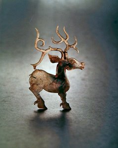 Hirsch