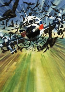 Ein Passagierflugzeug bedroht von einem Vogelschwarm von Wilf (20th century) Hardy