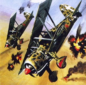 Zwei Fiat CR 42 von Wilf (20th century) Hardy