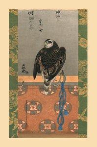 Falke, ca. 1790, 1886 von Wilhelm Greve