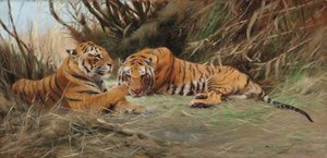Tiger bei Morgengrauen, 1913 von Wilhelm Kuhnert