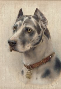 Der Kopf eines Dobermanns von Wilhelm Schwar
