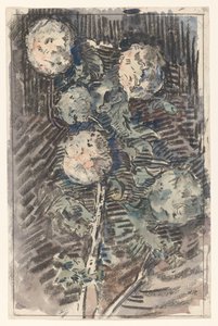 Zweig mit weißen Blumen