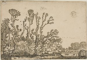 Landschaft mit Bäumen, Teich und Schafen von Willem Buytewech