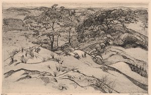 Duinlandschaft