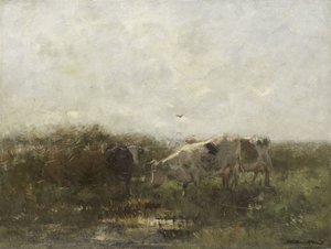 Kühe auf einer sumpfigen Wiese von Willem Maris