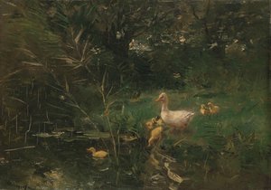 Enten