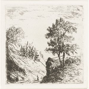 Hügellandschaft mit zwei Bäumen auf Felsen