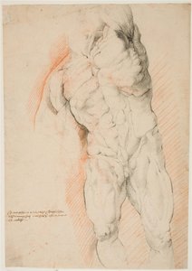 Anatomische Studie (Écorché). Vorderansicht eines stehenden gehäuteten Mannes, sein linker Arm erhoben von Willem Panneels