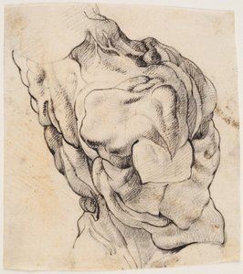 Anatomische Studie (Écorché). Torso eines gehäuteten Mannes von hinten halb nach rechts gedreht von Willem Panneels