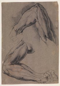 Anatomische Studie (Écorché). Zwei Studien eines gehäuteten linken Arms eines Mannes