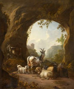Ziegen und Schafe in einer Grotte