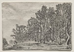 Das Set der Landschaften: Zwei Planken-Hecken von Willem Pietersz Buytewech