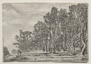 Das Set der Landschaften: Zwei Planken-Hecken, 1616