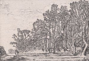 Zwei Plankenhecken, aus Verscheyden Landtschapjes Verschiedene kleine Landschaften, Platte 6,..., ca. 1616. von Willem Pietersz. Buytewech