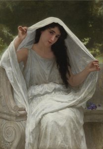 Schleier