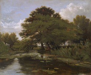 Auf der Isis, Waterperry, Oxfordshire