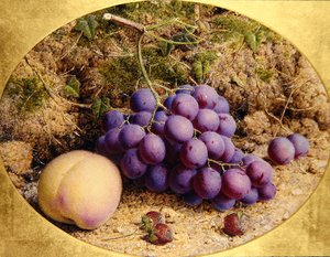Trauben und Pfirsich auf einem moosigen Ufer von William B. Hough